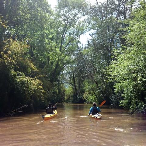 Aventura en Kayak en el Delta - Tigre - Buenos Aires 