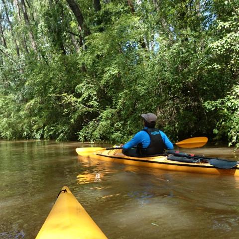 Crossing Kayaking- Gettinng closer to the Delta, Tigre