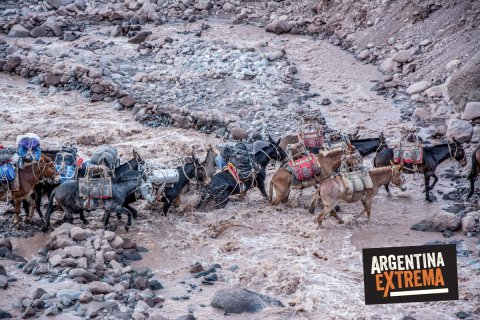 Ascenso al Cerro Aconcagua -  Techo de América - Argentina
