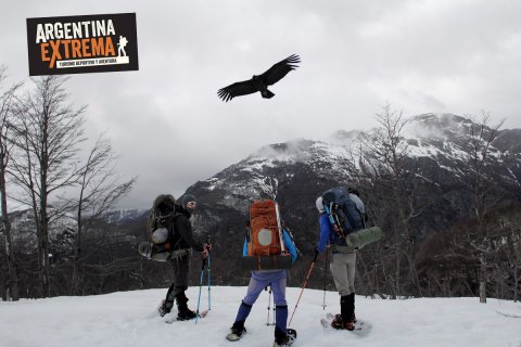 Expedición Cerro Tronador - Travesia por Glaciares - Pico Argentino - Bariloche 