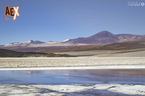 Volcan Llullaillaco - 6739 msnm - Expedición y ascensión a cumbre - Volcan Tuzgle - +6500 - Andes - Salta