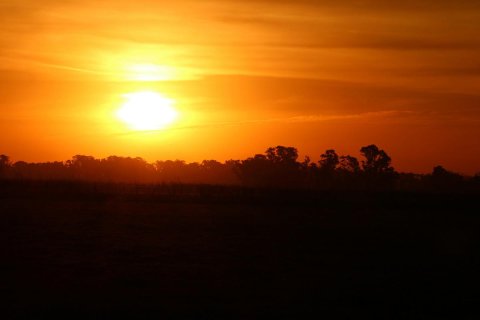 atardecer estancia campo argentino