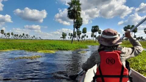 Bañado La Estrella - Exploración, fotosafari, canotaje y avistaje de fauna - Formosa 
