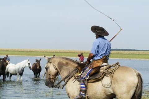 cabalgata avistajes experiencia gaucha 