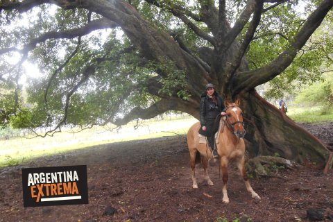 cabalgata avistajes y experiencia gaucha