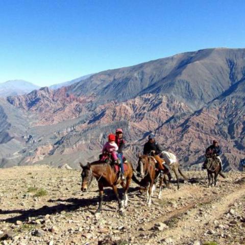 Cabalgata salteña  - cabalgando por el camino inca - Salta 