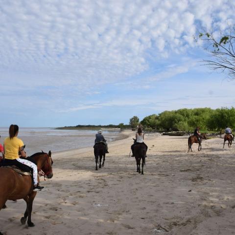 Pampeana Horseback Riding - Punta Indio, Bahia San Borombón - Buenos Aires