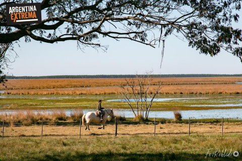 Cabalgata, Avistajes y Experiencia de Estancia en Corrientes