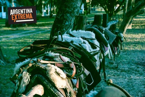 Cabalgata, Avistajes y Experiencia de Estancia en Corrientes