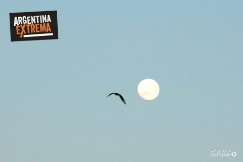Cabalgata, Avistajes y Experiencia de Estancia en Corrientes