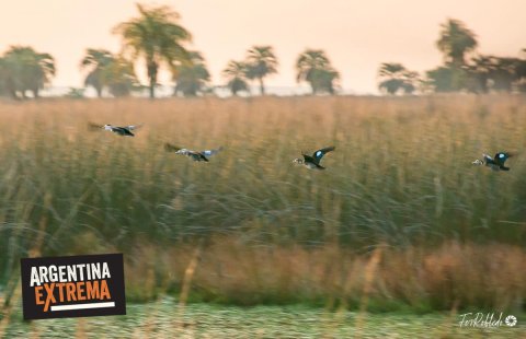 Cabalgata, Avistajes y Experiencia de Estancia en Corrientes