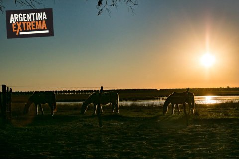 Cabalgata, Avistajes y Experiencia de Estancia en Corrientes