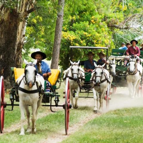 Eventos Corporativos - Estancia Correntina