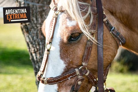 Cabalgata, Avistajes y Experiencia de Estancia en Corrientes