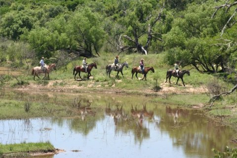 Cabalgatas por senderos y lagunas
