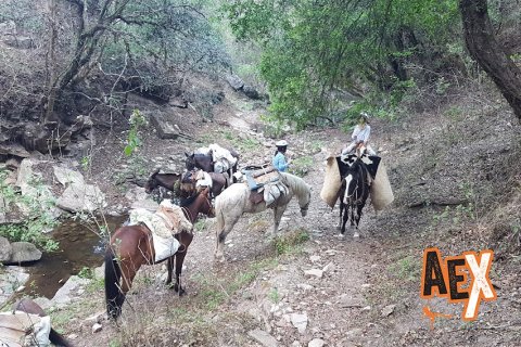 Cabalgata de las Yungas a los Valles Calchaquies - Salta - Sierras Subandinas