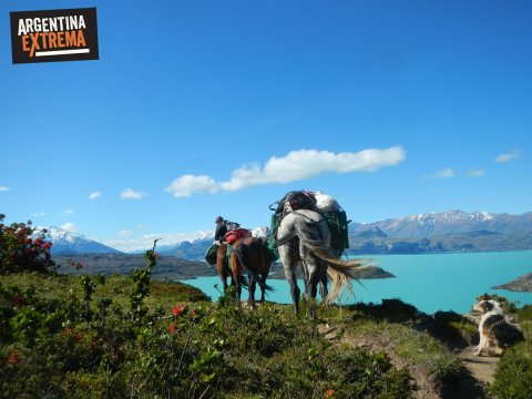 caballos bordeando el Lago San Martin