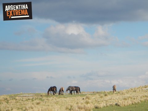 Cerro Champaquí - Trekking y ascenso desde Traslasierra - La Cumbrecita - Córdoba