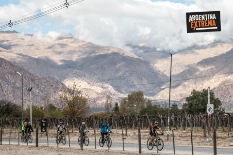 Viñedos, Bicicletas y el buen pedal