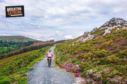 Camino de santiago de compostela