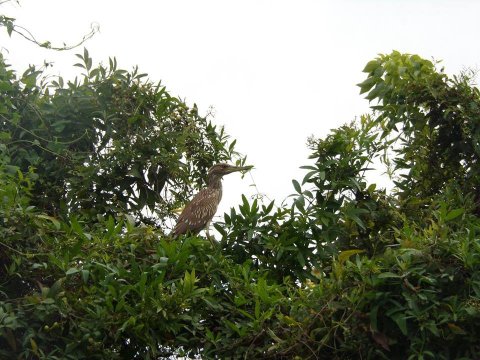 canotaje por rio paraguay formosa banado la estrella432