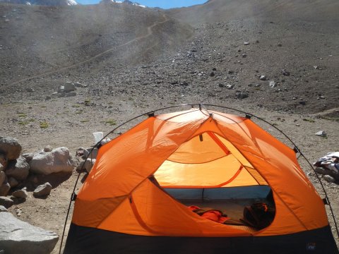 carpa