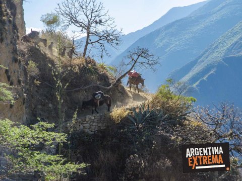 choquequirao trekking camino inca 003