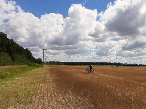 Cicloturismo San Pedro - Vuelta de Obligado - Castro - Sta. Lucia - Buenos Aires