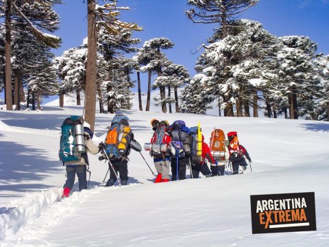 Curso de Iniciación al montañismo invernal - Escalada en Hielo - Trekking en nieve