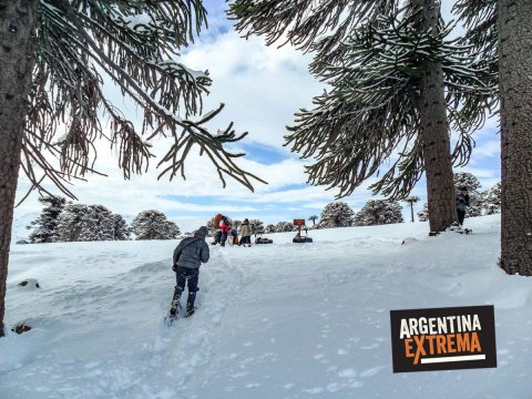Curso de Iniciación al montañismo invernal - Escalada en Hielo - Trekking en nieve