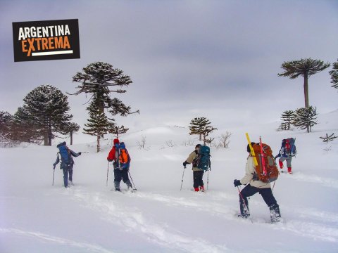 Curso de Iniciación al montañismo invernal - Escalada en Hielo - Trekking en nieve