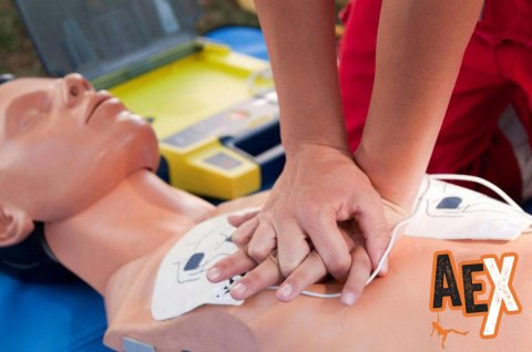 Curso WFR - Primeros Auxilios en zonas agrestes 