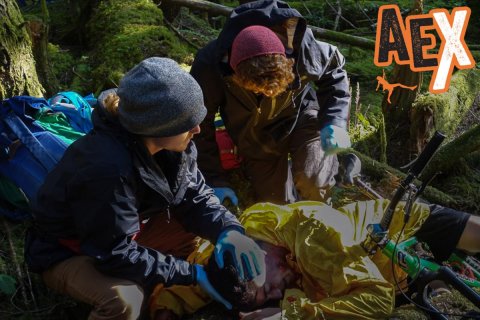Curso WFR - Primeros Auxilios en zonas agrestes 