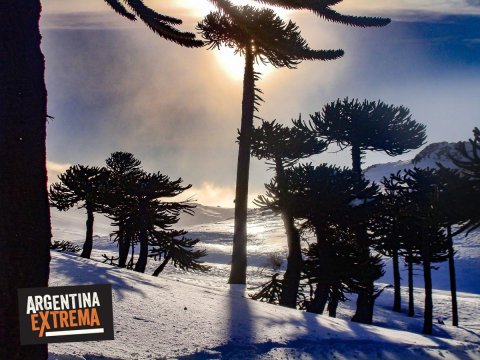 Curso de Iniciación al montañismo invernal - Escalada en Hielo - Trekking en nieve
