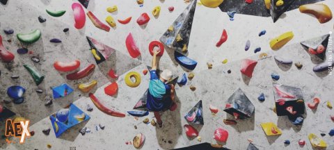 Climbing and Bouldering Training - Climbing Wall and Gym - Buenos Aires