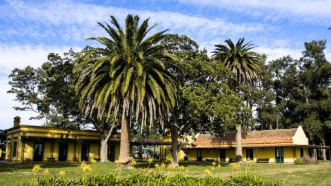 Fin de Semana en Estancia Argentina - Cabalgata- Actividades de Campo 