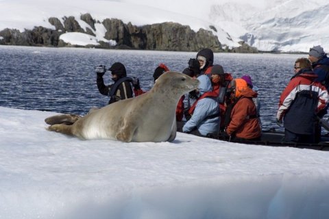expedicion antartida 238