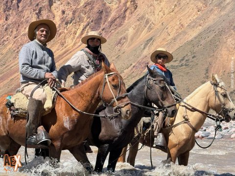 Baqueanos