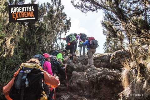 expedicion kilimanjaro africa 890