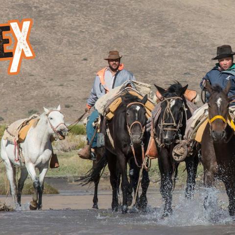 Horseback riding to the Andes Miracle Survival Site