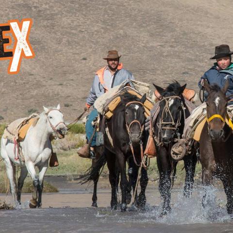 VIVEN Cabalgata al Avión de los Uruguayos - Mendoza