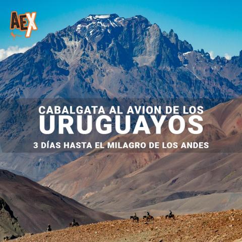 Horseback riding Alive -the Uruguayan rugbiers plane-