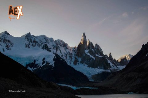 Torre