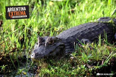 Multiaventura en los Esteros del Iberá - para grupos y colegios - Corrientes