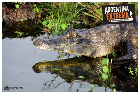 Multiaventura en los Esteros del Iberá - para grupos y colegios - Corrientes