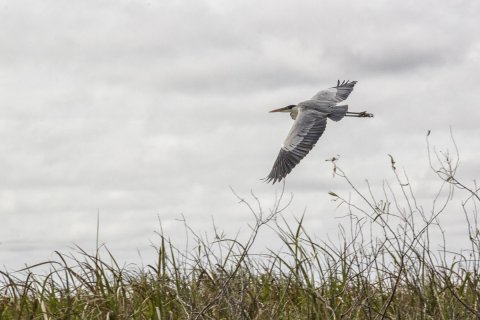 Multiaventura en los Esteros del Iberá - para grupos y colegios - Corrientes
