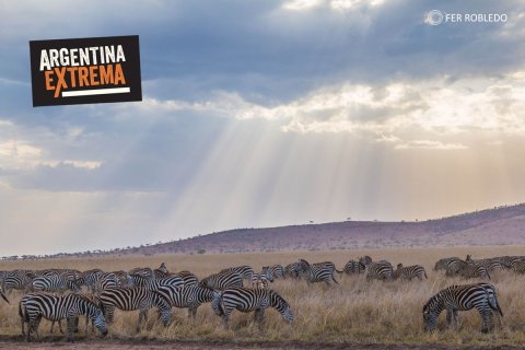fotosafari serengeti ngorongoro manyara africa 233
