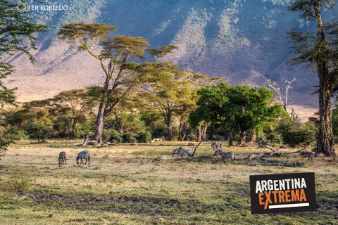 fotosafari serengeti ngorongoro manyara africa 487