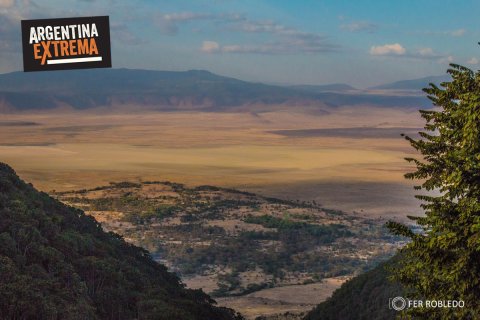 fotosafari serengeti ngorongoro manyara africa 555