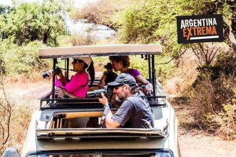 fotosafari serengeti ngorongoro manyara africa 771